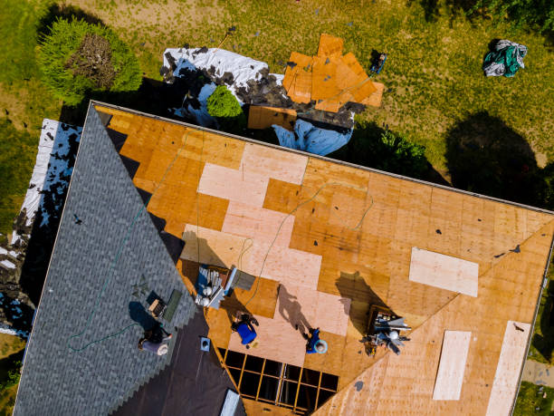 Best Roof Gutter Cleaning  in Charlotte, TN